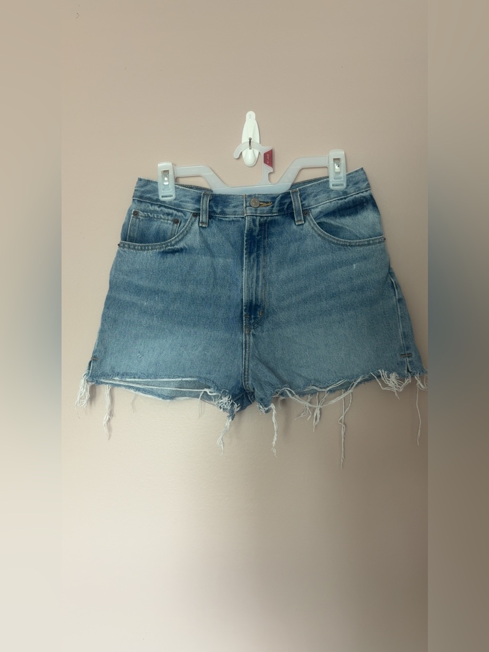 BDG Urban Outfitters Hi Rise Girlfriend Light Blue Distressed Denim Shorts